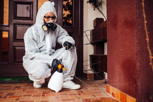 Attic and Crawl Space Rodent Treatment in Mantachie