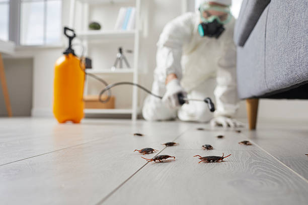 Commercial Rodent Management in Mantachie